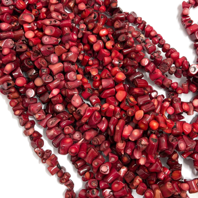 CORAL TUBITOS L 8X15MM APROX (COLOR REALZADO CON TINTA)