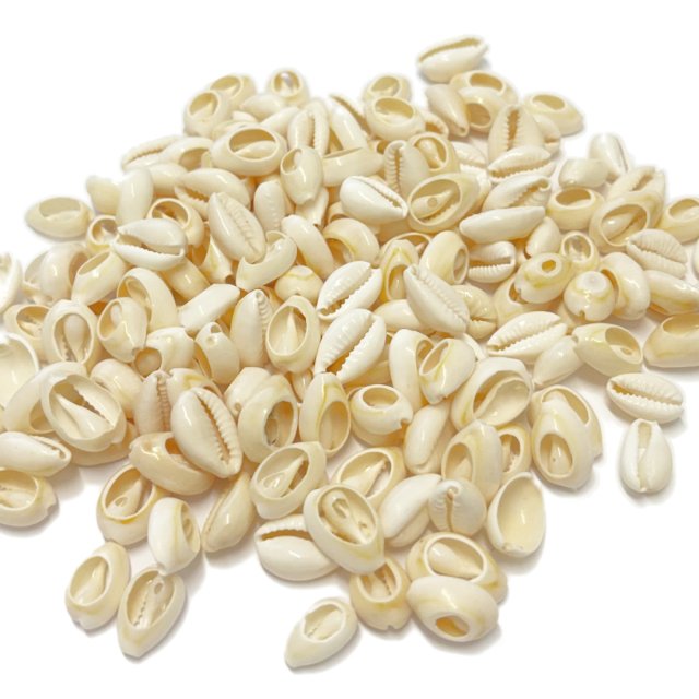 BUZIOS - (14-16MM APROX) (MAR) - CHICOS